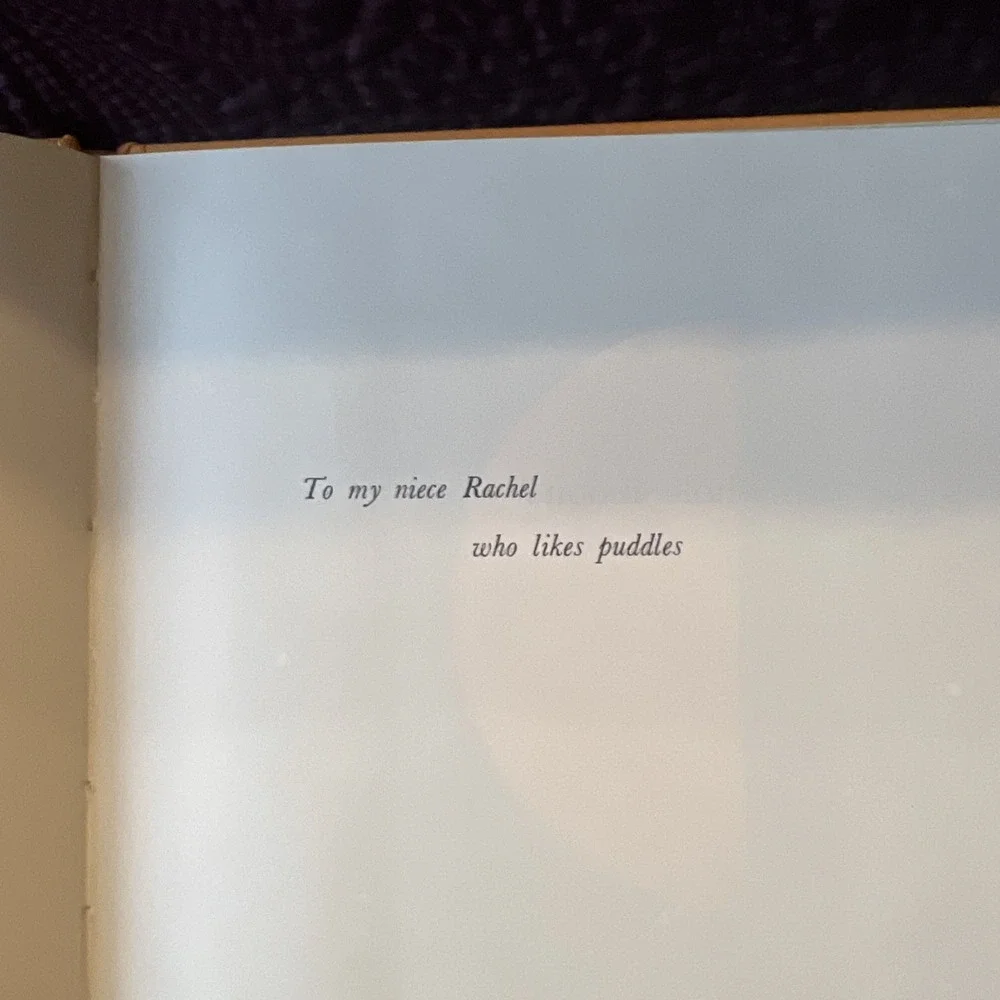 Vintage Childrens Book 